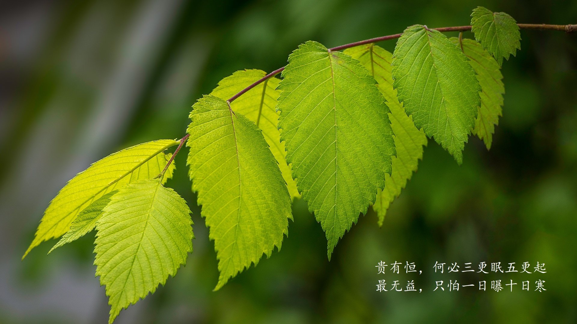 体育场馆智能服务系统，体育场馆智能服务系统有哪些