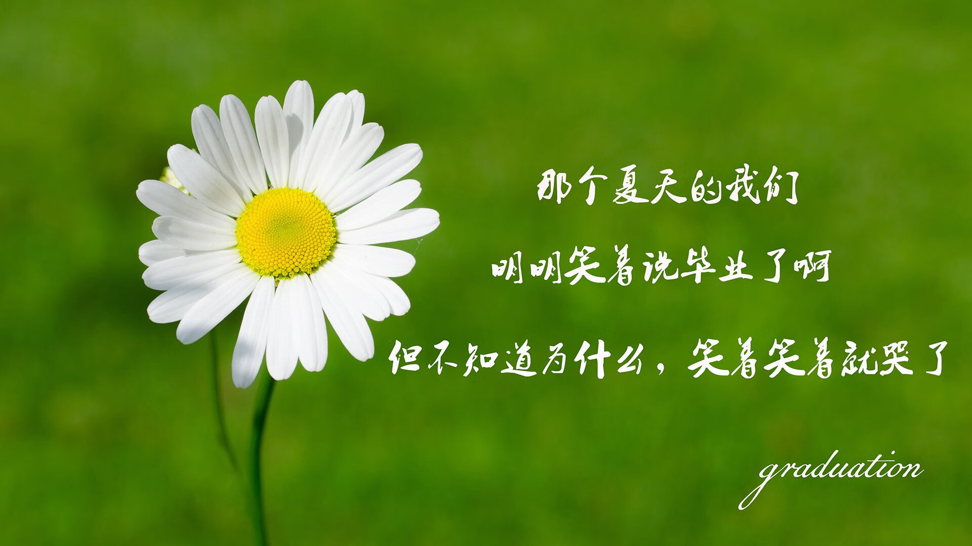 开云体育官方下载-英超裁判员使用语义分析助力语境判罚一致性，英超裁判主队