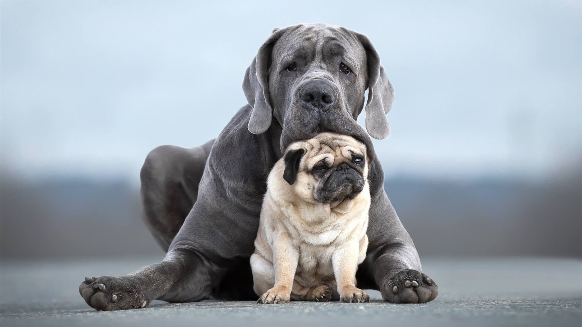 基层赛事曝光率低影响社会关注度,基层赛事曝光率低影响社会关注度吗