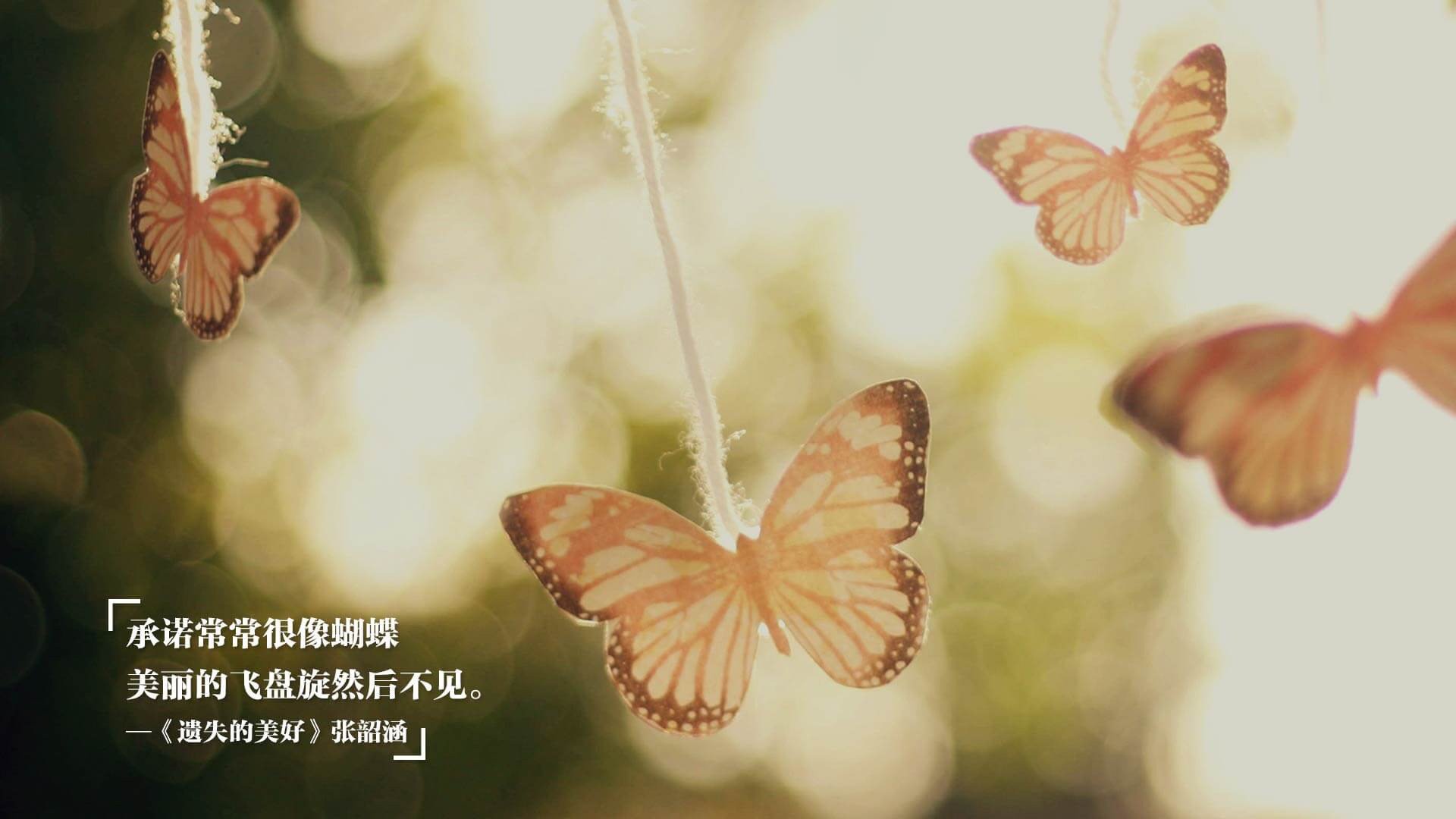 女子200蝶美队进决赛三人组,女子200m蝶泳决赛时间