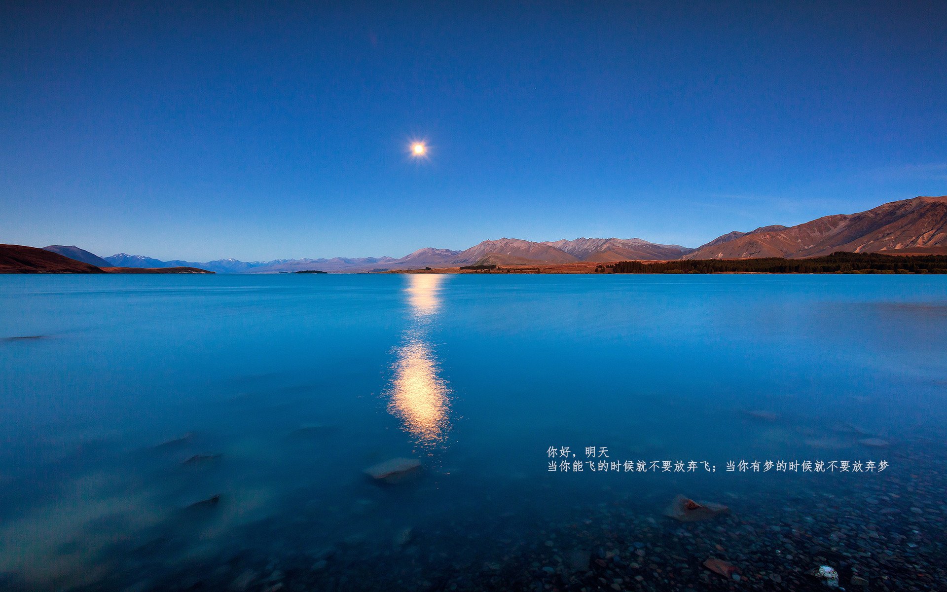 新疆男篮外援发挥关键作用球队气势如虹,新疆男篮队员外援